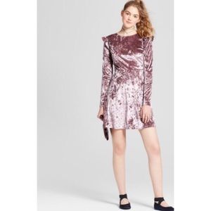 HP!🎉 Mossimo Supply Company Purple Velvet Dress